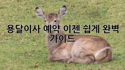 용달이사 예약, 이젠 쉽게! 완벽 가이드