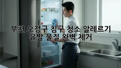 부천 오정구 침구 청소, 알레르기 유발 물질 완벽 제거!